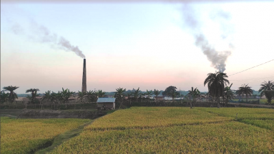 কৃষি জমিতে গড়ে উঠছে ইটভাটা
