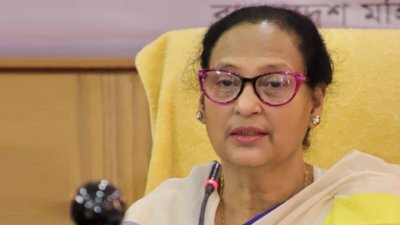 ফজিলাতুন নেসা ইন্দিরা  (ফাইল ছবি)
