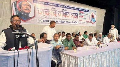 ঢাকা মহানগর দক্ষিণ আওয়ামী লীগের জরুরি বর্ধিত সভায় বক্তব্য রাখছেন আব্দুর রাজ্জাক