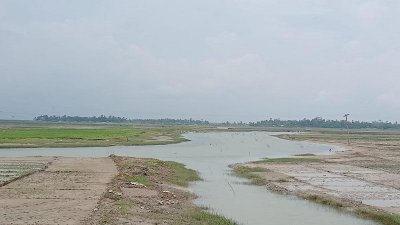 সরকারি খাল দখল করে মাছের প্রজেক্ট তৈরির অভিযোগ