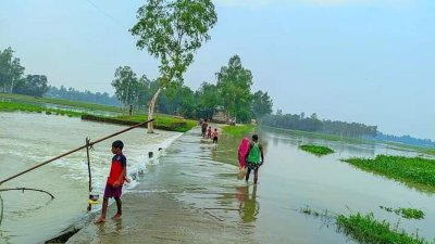 জামালপুরে বন্যা