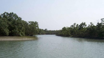 সুন্দরবন (ফাইল ছবি)