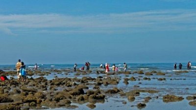 প্রবালদ্বীপ সেন্টমার্টিন