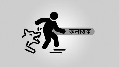 জলাতঙ্ক (প্রতীকী ছবি)