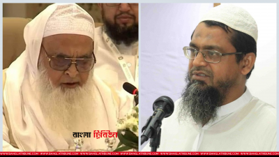 মাহমুদুল হাসান ও মাওলানা মাহফুজুল হক