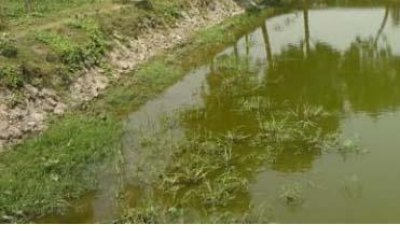 পুকুর (ফাইল ছবি)