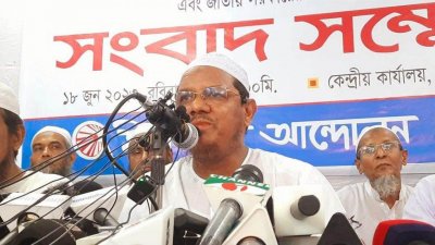 মুফতি সৈয়দ মুহাম্মদ রেজাউল করীম (ফাইল ছবি)