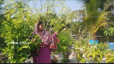 বাড়ির চারপাশের সবুজায়ন পেরিয়ে সিঁড়ি দিয়ে দোতলায় গেলে দেখা মিলবে ফারহানার ছাদবাগান