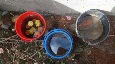 ১৬টি পরিত্যক্ত ককটেল উদ্ধার করেছে পুলিশ