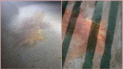 ৯টা ২০ মিনিটের দিকে ভিসি চত্বরে এ ঘটনা ঘটে