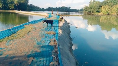 বাড়ির পাশের মাছের প্রজেক্টের পাড় দিয়ে যাওয়ার সময় পানিতে পড়ে ডুবে যায় দুই ভাই