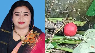 সাবেক বিএনপি নেত্রী বিউটি বেগমের বাড়িতে ককটেল নিক্ষেপ
