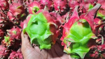 ছবি- বাংলা ট্রিবিউন
