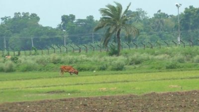 চুয়াডাঙ্গা সীমান্ত