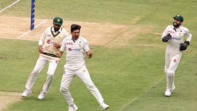 ওয়ার্নারকে ফিরিয়ে হামজার উল্লাস