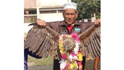 ঈগল নিয়ে নির্বাচনি প্রচারণা