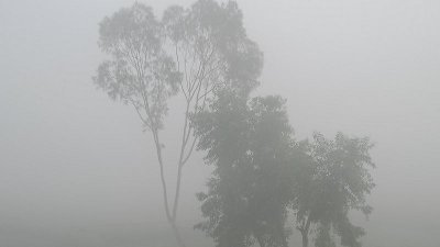 কুয়াশায় আচ্ছন্ন চারদিক