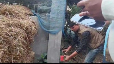 খড়ের গাদার ভেতর থেকে ককটেলগুলো উদ্ধার করা হয়