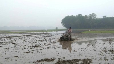 দিনমজুর ও শ্রমজীবী মানুষেরা পড়েছেন বেকায়দায়