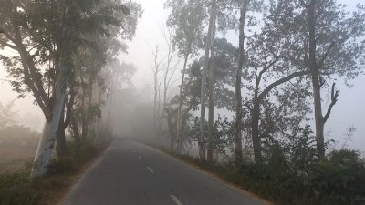 কুয়াশায় ঢেকে রয়েছে প্রকৃতি