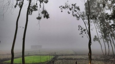 শীতের কুয়াশাচ্ছন্ন সকাল