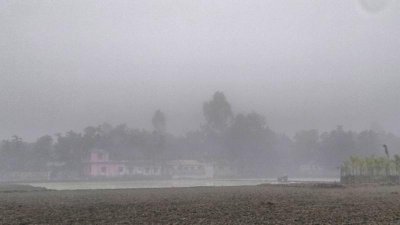 কুয়াশাচ্ছন্ন শীতের সকাল
