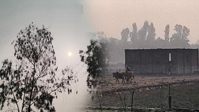 রোদ দেখে মাঠে নেমেছেন কৃষক