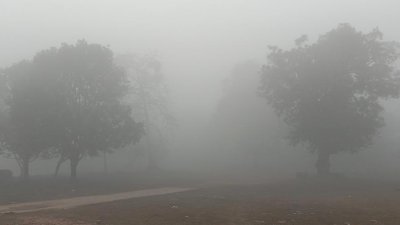 ঘন কুয়াশায় ঢেকেছে জনপদ