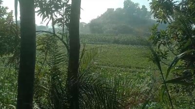 সীমান্ত এলাকা