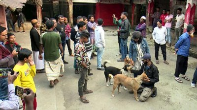 বাজারে ভিড় করেছেন স্থানীয়রা