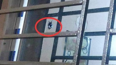 জানালার কাচে গুলির আঘাতের চিহ্ন
