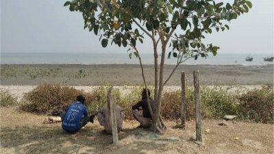 শাহপরীর দ্বীপ