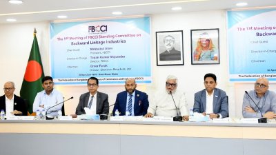 পর্যাপ্ত সুযোগ-সুবিধার অভাবে এখনও নানা সমস্যার ভুগছে দেশের ব্যাকওয়ার্ড লিংকেজ শিল্প