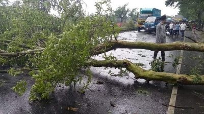 বৃষ্টিতে ভেঙে গাছ পড়েছে সড়কে