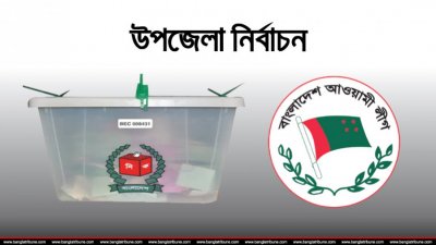 উপজেলা পরিষদ নির্বাচন