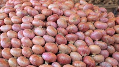 পেঁয়াজ (ফাইল ছবি)