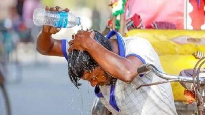 তীব্র গরমে স্বস্তি খোঁজার চেষ্টা/ফাইল ছবি