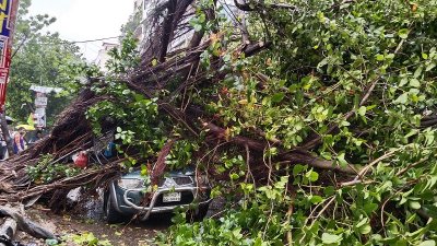 গাছ ভেঙে পড়ায় বিভিন্ন সড়কে যান চলাচল বন্ধ রয়েছে