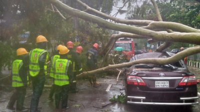 ঝড়ে ভেঙে পড়া গাছ অপসারণে কাজ করছে কুইক রেসপন্স টিম
