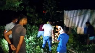বিভিন্ন স্থানে বিদ্যুৎলাইনে লাইনে গাছপালা উপড়ে পড়েছে