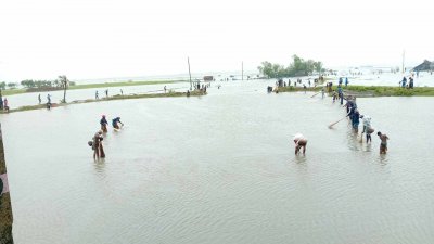 বাঁধ ভেঙে প্লাবিত হয়েছে বহু এলাকা