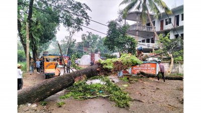 নগরীর প্রতিটি পাড়া-মহল্লায় গাছ পড়ে বিদ্যুতের তার ছিঁড়ে গেছে