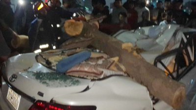 প্রাইভেটকারের ওপর ভেঙে পড়া গাছ