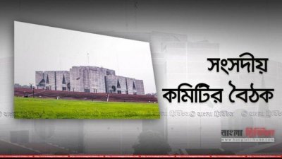 সংসদীয় কমিটির বৈঠক (প্রতীকী ছবি)