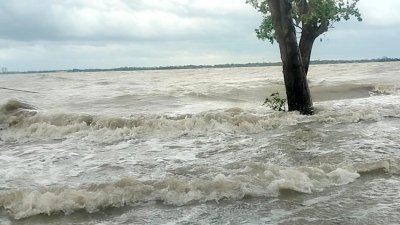 ঘূর্ণিঝড় রিমালের প্রভাবে সৃষ্ট জলোচ্ছ্বাসে তলিয়ে যায় সুন্দরবন
