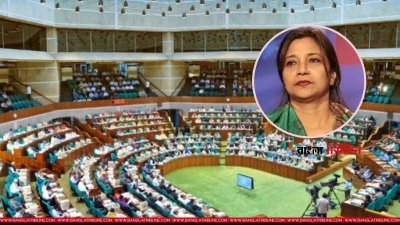তারানা হালিম