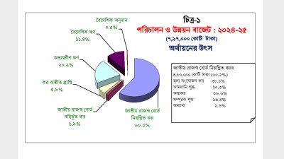 বাজেট ২০২৪-২৫: অর্থায়নের উৎস