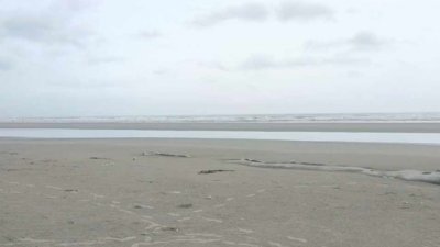 বোরি বিচ (ছবি: প্রতিবেদক)