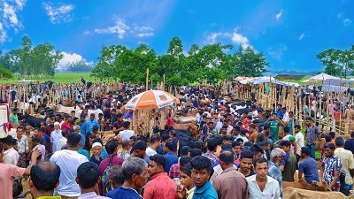 জনতার বাজার পশুর হাটে ওঠা গরু