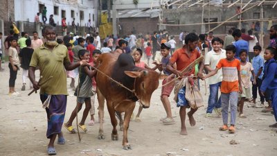 ঢাকায় ২০ স্থানে পশুর হাট বসছে